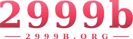 2999b logo